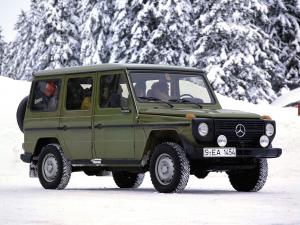 Mercedes-Benz 280 GE Station 1979 года